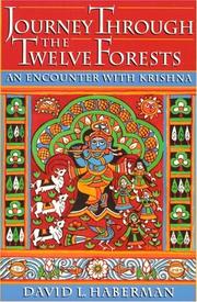 Cover of: Journey through the twelve forests by David L. Haberman