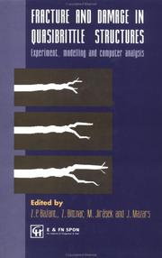 Fracture and damage in quasibrittle structures : experiment, modelling and computer analysis : proceedings of the US-Europe Workshop on Fracture and Damage in Quasibrittle Structures, held in Prague, 