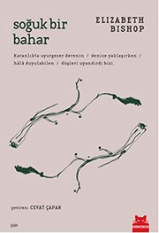 Cover of: Soguk Bir Bahar
