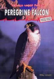 Peregrine falcon