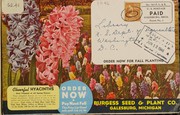 Cover of: Cheerful hyacinths: order now, pay next fall (this price good until July 20, '46)