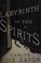 Cover of: The labyrinth of the spirits