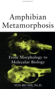 Cover of: Amphibian Metamorphosis: From Morphology to Molecular Biology