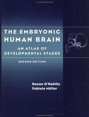 The embryonic human brain : an atlas of developmental stages