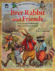 Cover of: The Adventures of Brer Rabbit and Friends (Dk Classics) by None