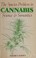 Cover of: The species problem in cannabis