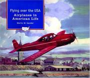 Cover of: Flying over the USA: airplanes in American life