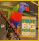 Cover of: Little kids first big book of birds