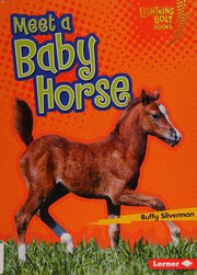 Cover of: Meet a Baby Horse