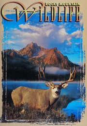 Cover of: Rocky Mountain Wildlife by Great Mountain West Supply
