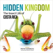 Cover of: Hidden Kingdom: The Insect Life of Costa Rica