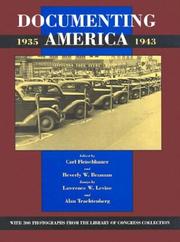 Cover of: Documenting America, 1935-1943 by edited by Carl Fleischhauer and Beverly W. Brannan ; essays by Lawrence W. Levine and Alan Trachtenberg.
