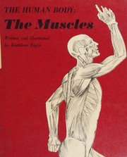 Cover of: The human body, the muscles