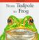 Cover of: From Tadpole to Frog (Lifecycles)