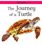 Cover of: The journey of a turtle
