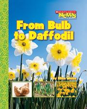 From Bulb to Daffodil by Ellen Weiss