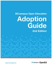 Adoption Guide - 2nd Edition by Lauri M. Aesoph