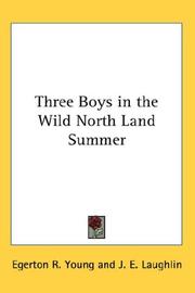 Cover of: Three Boys in the Wild North Land Summer by Egerton R. Young