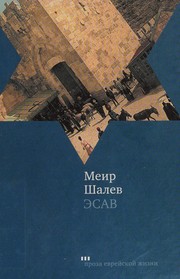 Cover of: Ėsav: roman