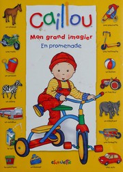 Cover of: Mon grand imagier: en promenade