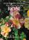 Cover of: The Quest for the Rose