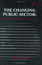 The changing public sector : a practical management guide