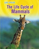 Cover of: Life Cycle of Mammals