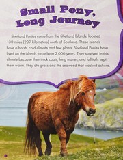 Cover of: The shetland pony