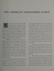 The Saddlebred by Judy Fisher Oetonger