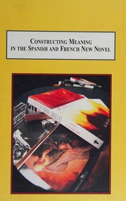 Constructing meaning in the Spanish and French new novel by Francisco Javier Sánchez