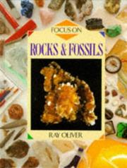 Focus on rocks & fossils