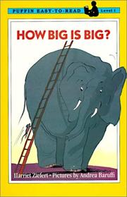 Cover of: How Big Is Big?