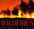 Cover of: Wildfires