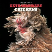 Cover of: Extraordinary Chickens 2018 Wall Calendar