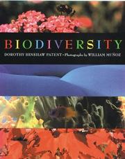 Cover of: Biodiversity by Dorothy Hinshaw Patent