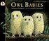 Cover of: Owl babies