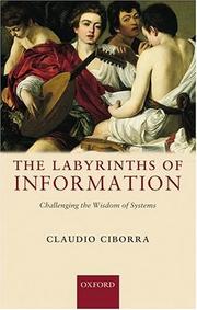 The labyrinths of information : challenging the wisdom of systems