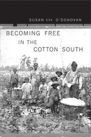 Becoming free in the cotton South