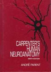 Cover of: Human neuroanatomy