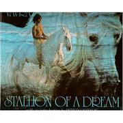 Cover of: Stallion of a dream