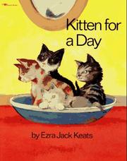 Cover of: Kitten for a day