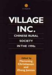 Village Inc. : Chinese rural society in the 1990s