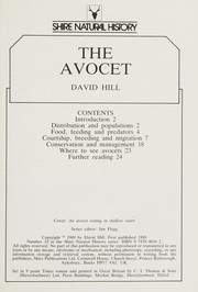 Cover of: The Avocet