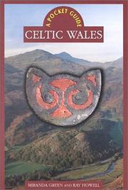 Cover of: Celtic Wales by Miranda J. Aldhouse-Green