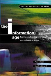 Cover of: The information age: technology, learning and exclusion in Wales