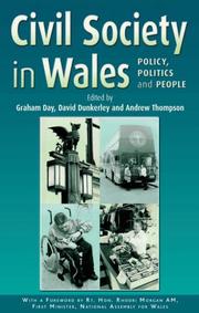 Civil society in Wales : policy, politics and people