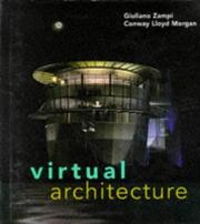 Virtual architecture