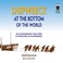 Cover of: Shipwreck at the Bottom of the World