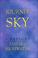 Cover of: Journey to the Sky