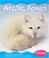 Cover of: Arctic Foxes (Pebble Books)